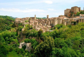 Appartamento nelle Terre del Tufo Sorano